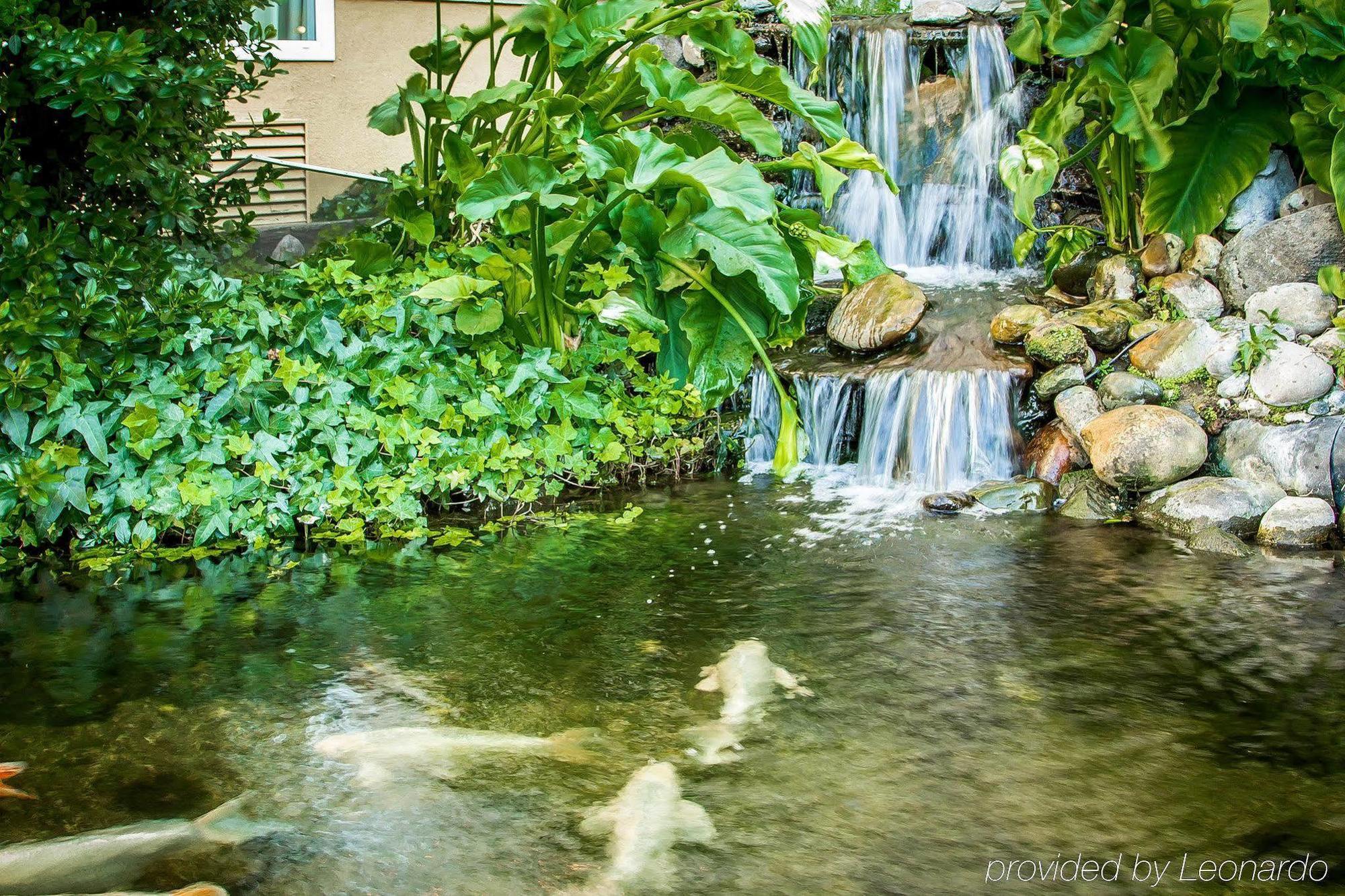 Comfort Inn Modesto Dış mekan fotoğraf
